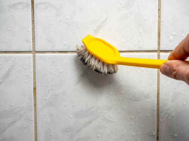Best Mold Remediation for Specific Building Types in Madisonville, TX