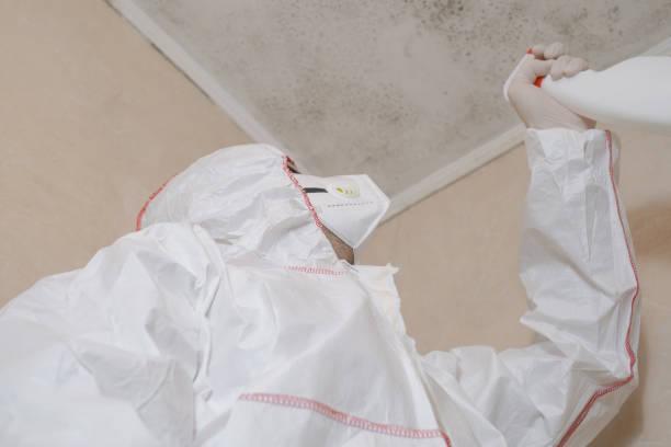 Best Mold Remediation for Schools in Madisonville, TX