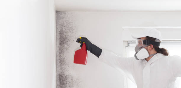 Best Mold Testing and Inspection Services in Madisonville, TX