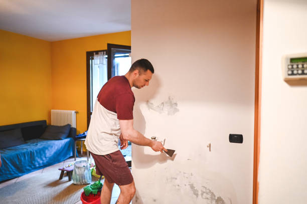 Best DIY Mold Remediation Support Services in Madisonville, TX